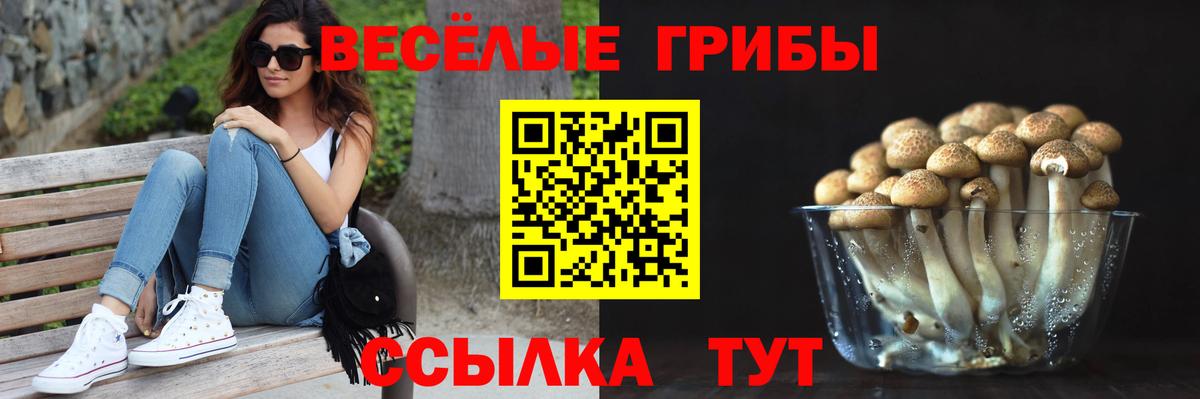 Псилоцибиновые грибы Cubensis  сколько стоит  Галлюциногенные грибы ЛСД  Ессентуки  Вход с VPN 