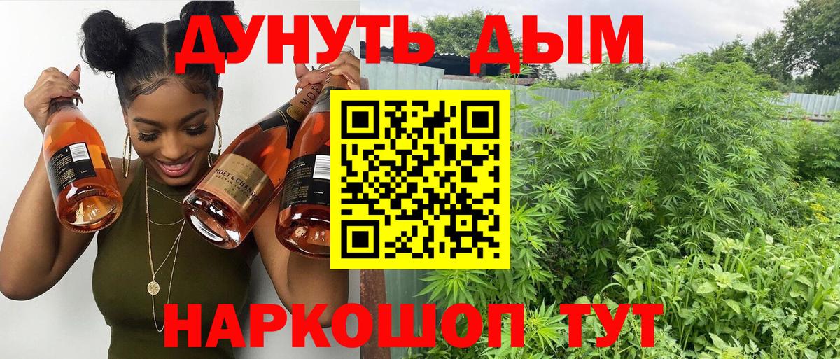 Бошки Шишки планчик  Бошки Шишки индика  Вход с VPN  Бошки Шишки марихуана  Ессентуки  Конопля OG Kush 